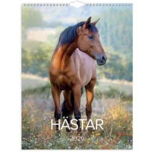 Väggkalender Stora Hästkalendern 2026