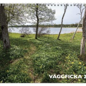 Väggkalender Väggficka 2026