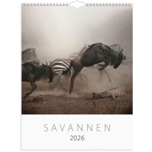 Väggkalender Savannen 2026