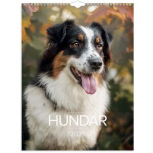 Väggkalender Stora Hundkalendern 2026