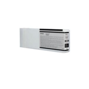 Bläckpatron EPSON C13T636100 fotosvart