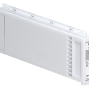 Bläckpatron EPSON C13T800000 L-grå