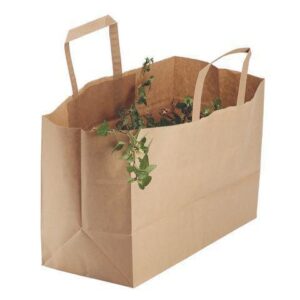 Bärkasse papper plant 17l brun 250/fp