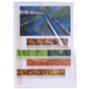 Aktmapp EXACOMPTA A4 0,12mm klar 100/fp